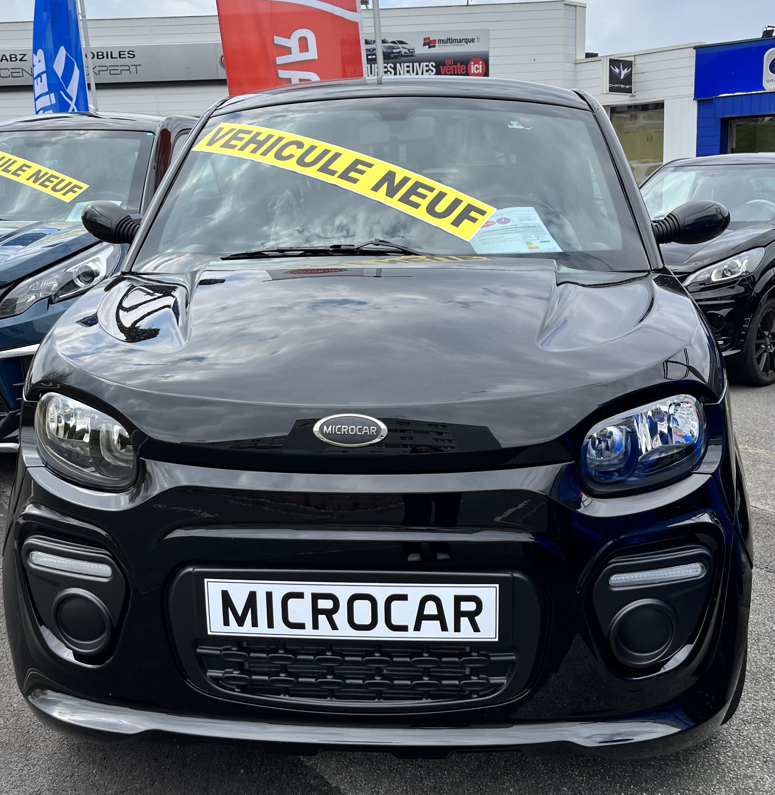 MICROCAR DUE6 MUST